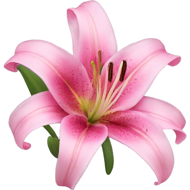 Pink lily emoji