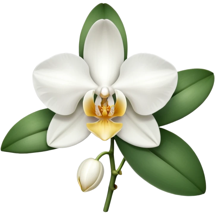 White colour orchid emoji emoji