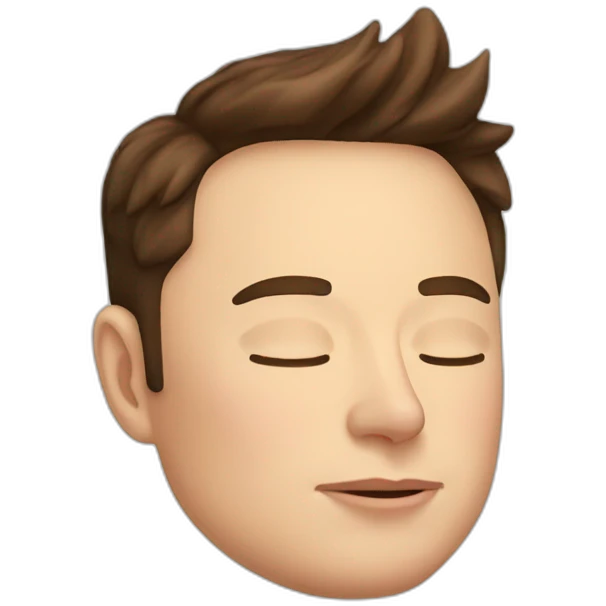 Elon Musk sleep emoji