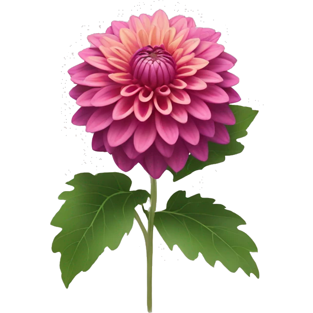 Dahlia flower emoji