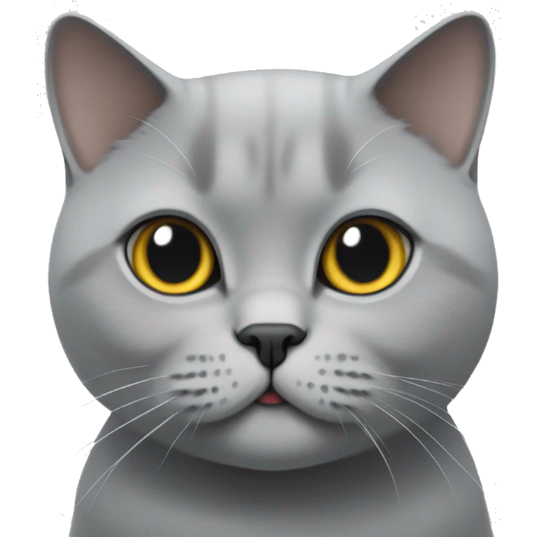British Shorthair cat in grey looking cute emoji