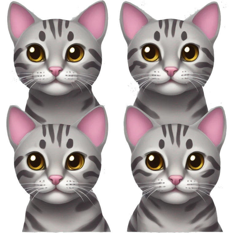 Two grey bengal cats. One grey bengal cat and one grey bengal cat with a pink bow on its head emoji