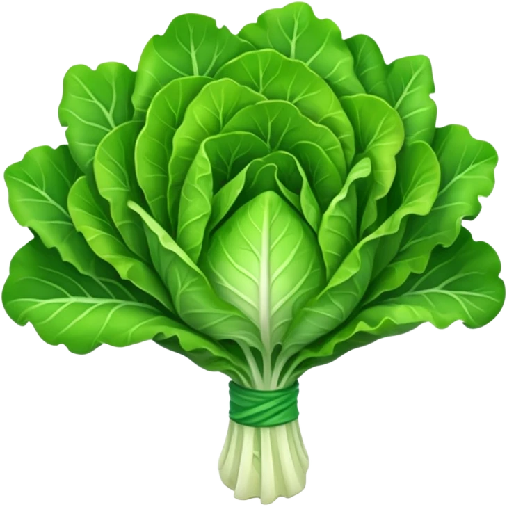 Bouquet of lettuce emoji