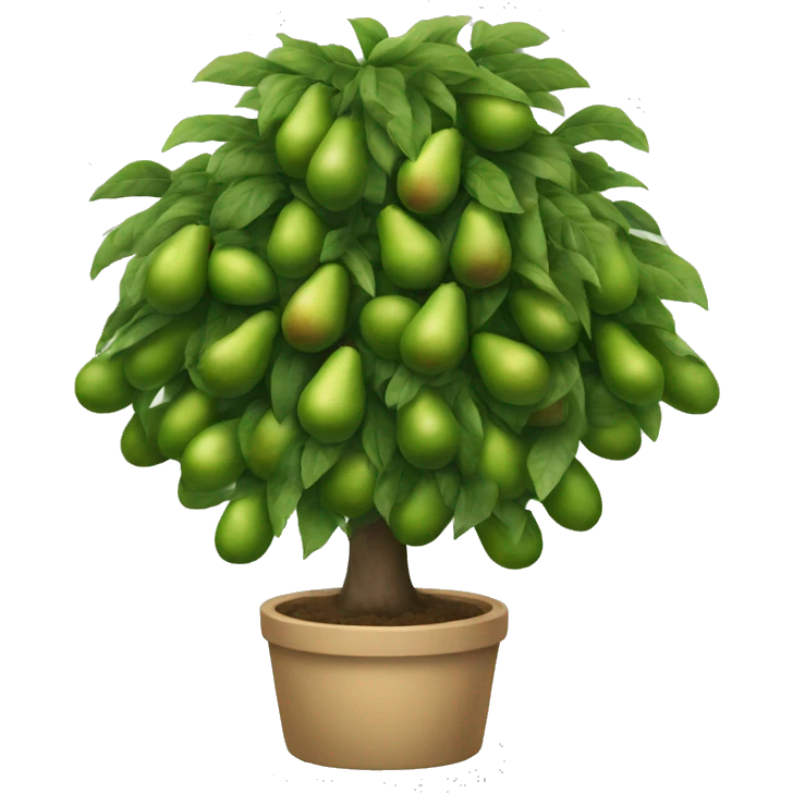 avocado tree  emoji