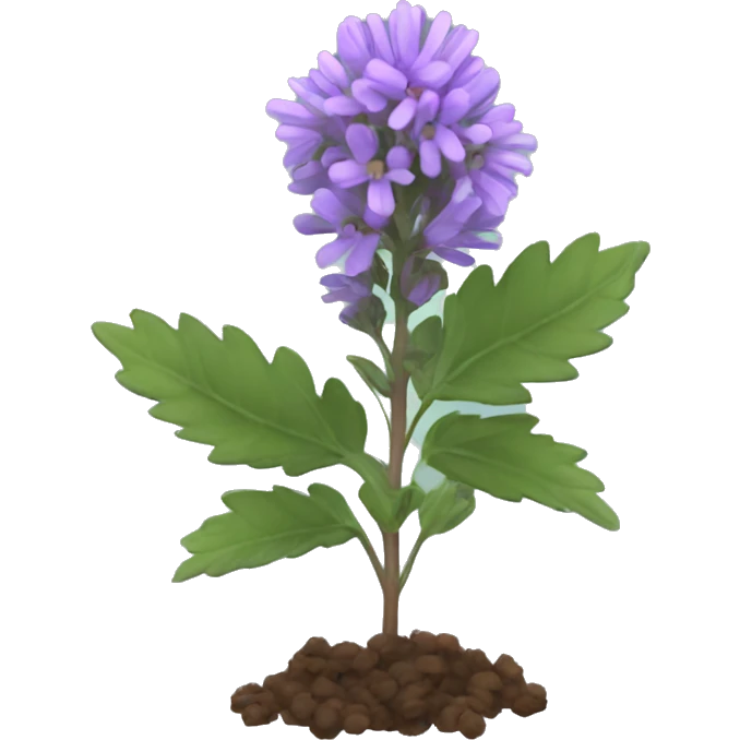 Pennyroyal plant emoji