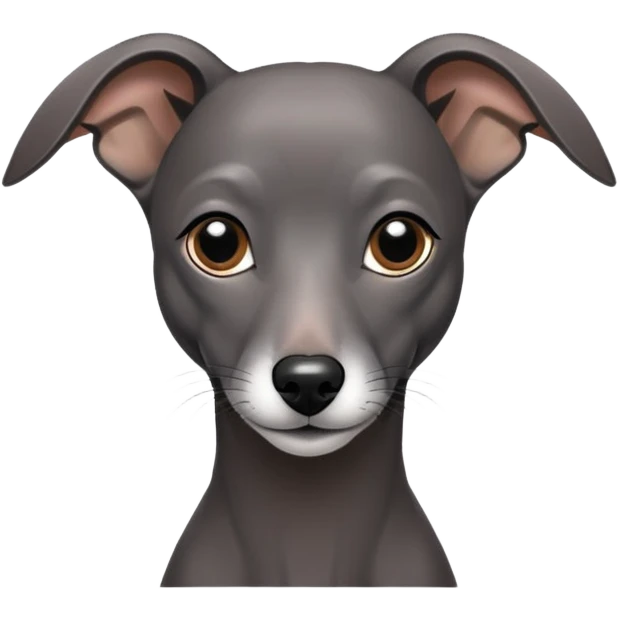 black Italian greyhound  emoji
