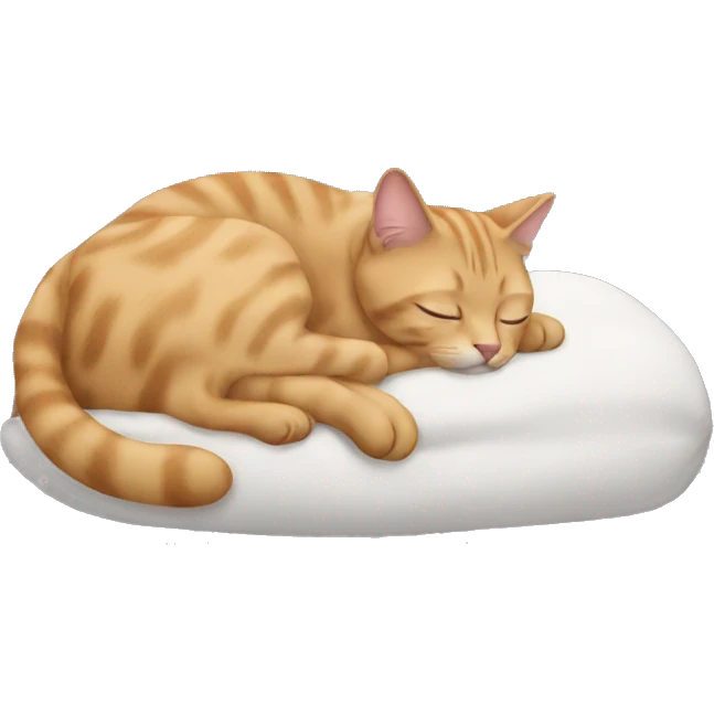 Taby cat sleeping emoji