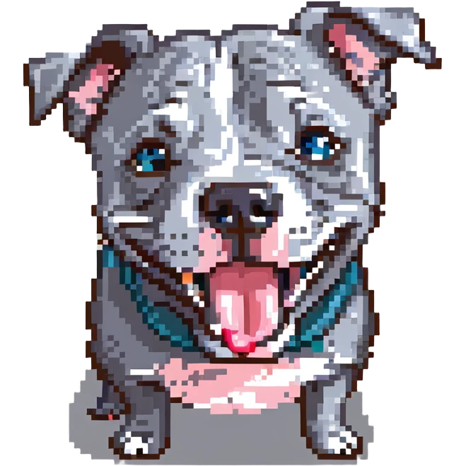 round circle puppy head full grey bleu staffy, big open mouth, big tongue out, stupid expression emoji