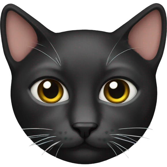 Cat blac emoji