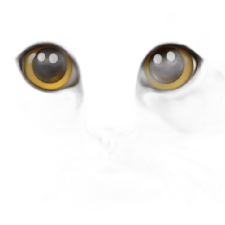 My cat yanna emoji