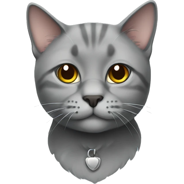 Gray Scottish cat emoji