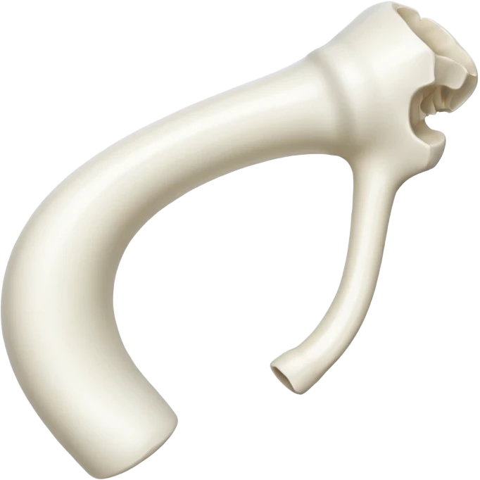 arm bone emoji