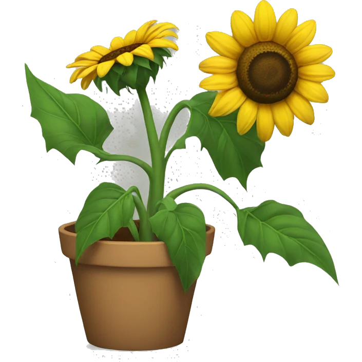 talking sunflower  emoji
