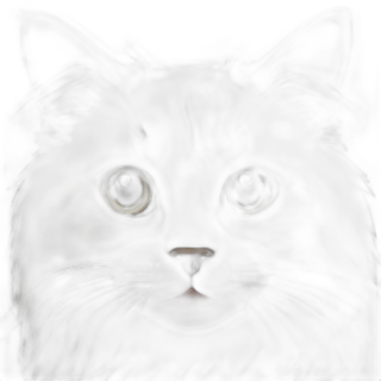 Ragdoll Cat emoji