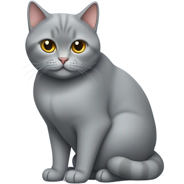 British cat with heart  emoji