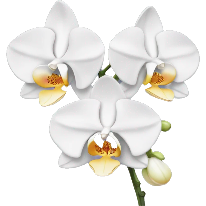White Orchid emoji