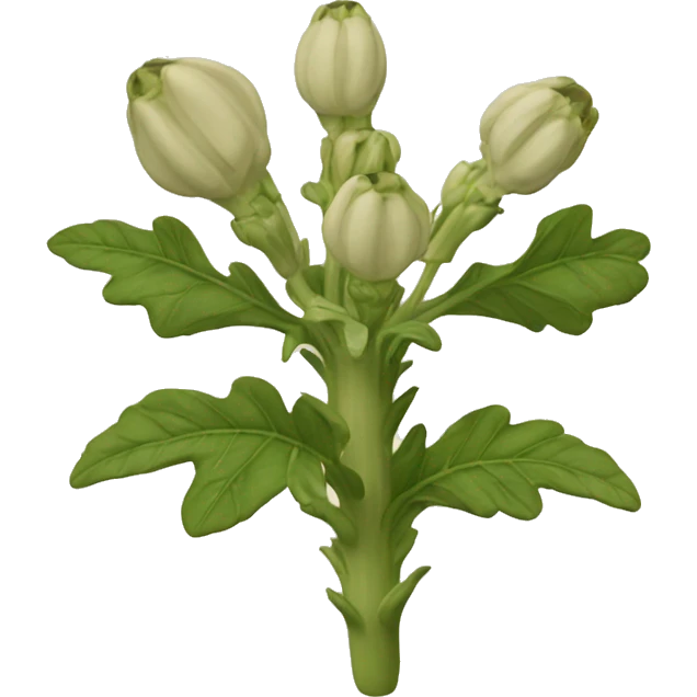 Henbane emoji
