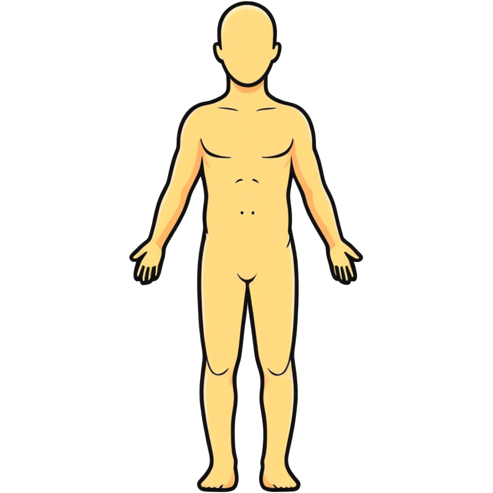 human body silhouette, standing, anatomical illustration emoji