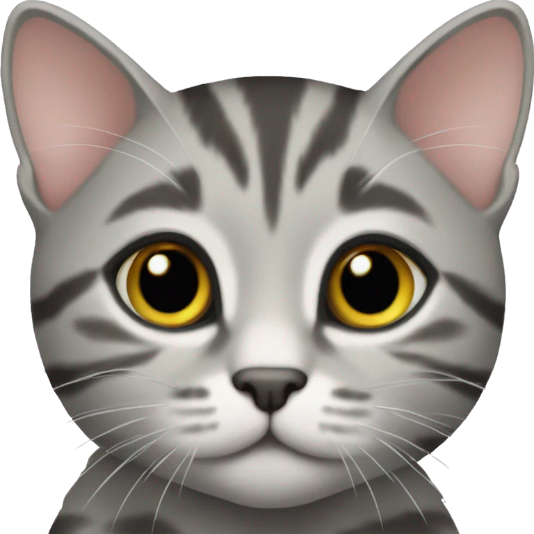 Gray tabby kitten emoji