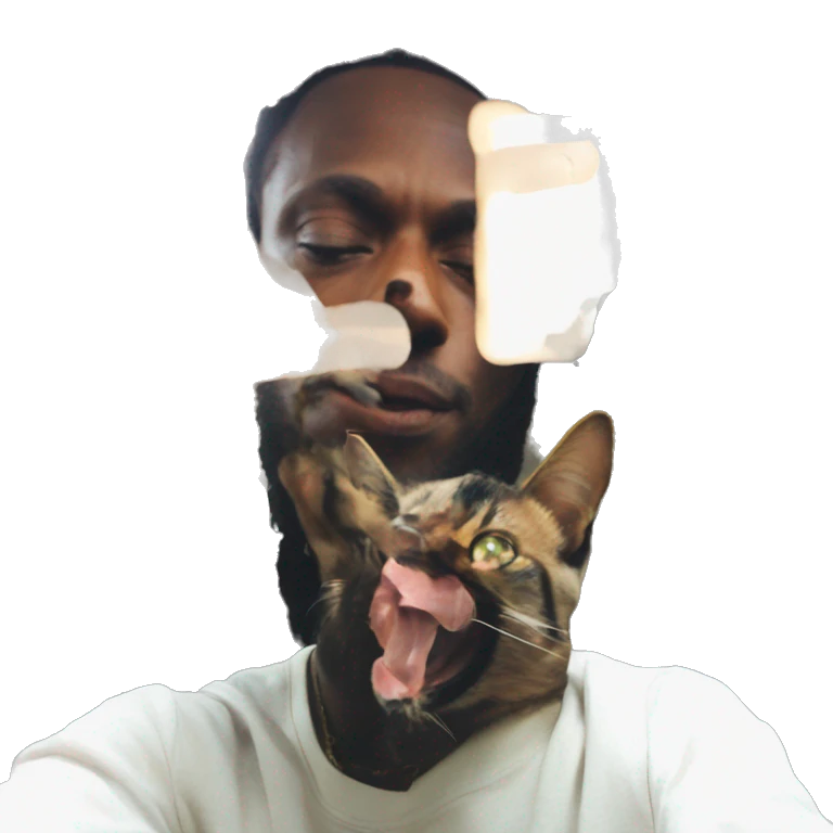 jpegmafia cat emoji
