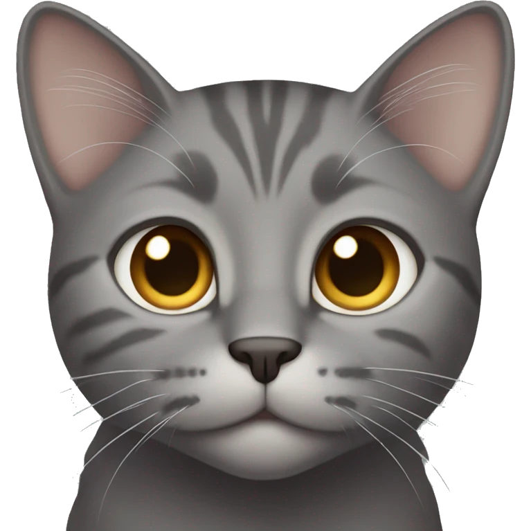 gray cat with light brown eyes emoji