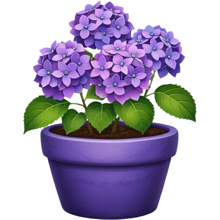 purple hydrangeas flower pot emoji