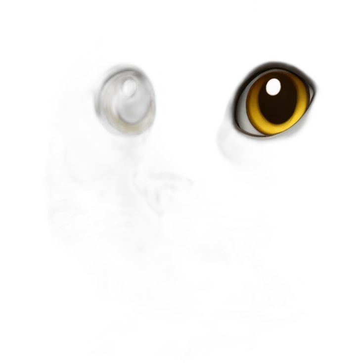 Creampoint ragdoll cat head emoji