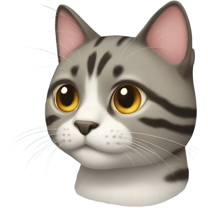 Hi cats  emoji