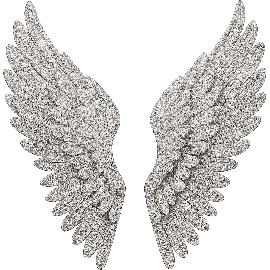 Silver glitter wings, remove background emoji