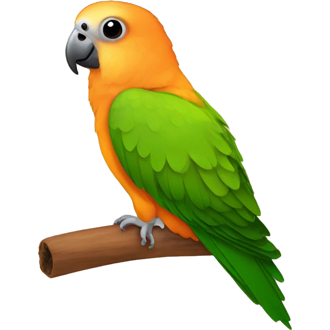 Cinnamon conure emoji