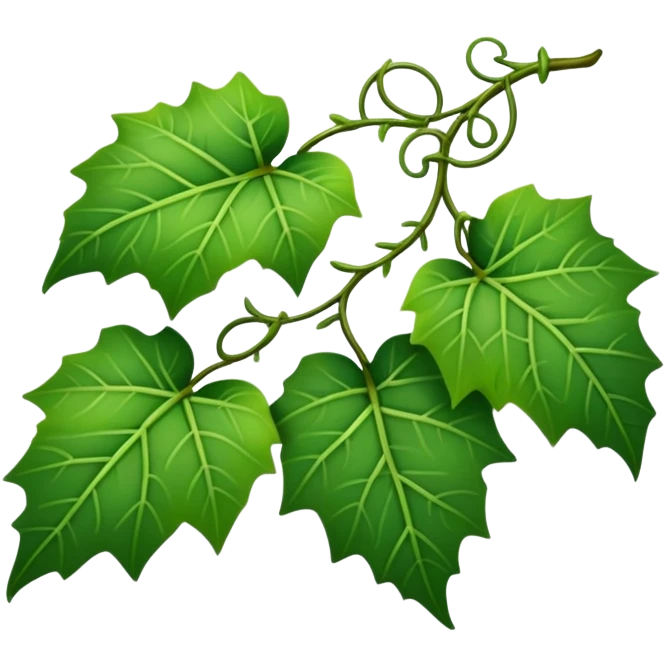 I small vine of ivy leaves  emoji