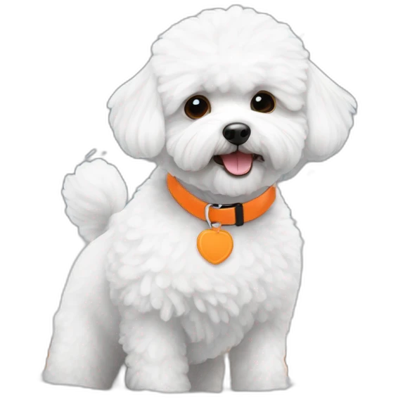 white maltipoo enjoying in the snow with orange collar emoji