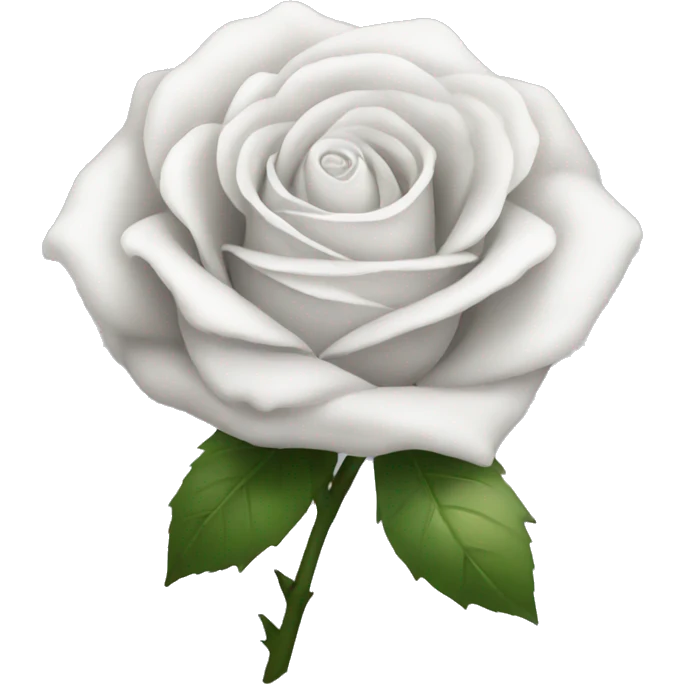 White rose with a grey bow emoji
