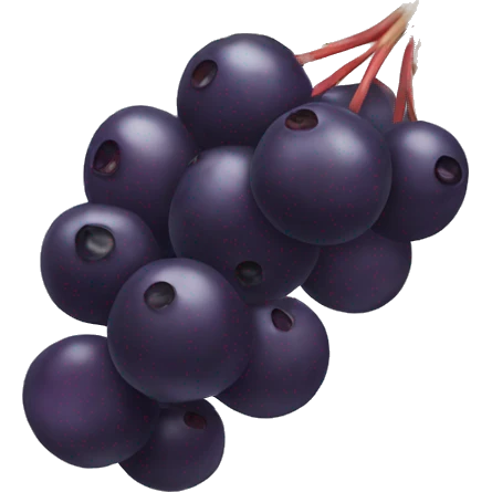Elderberry fruit emoji