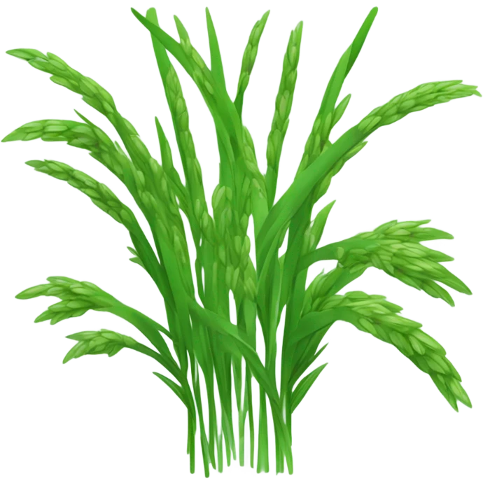 rice plant  emoji