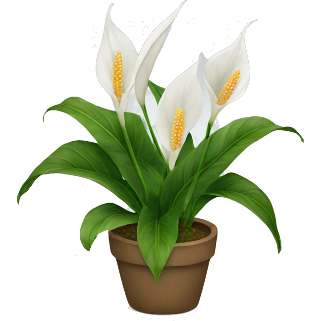 Peace lilies plant emoji