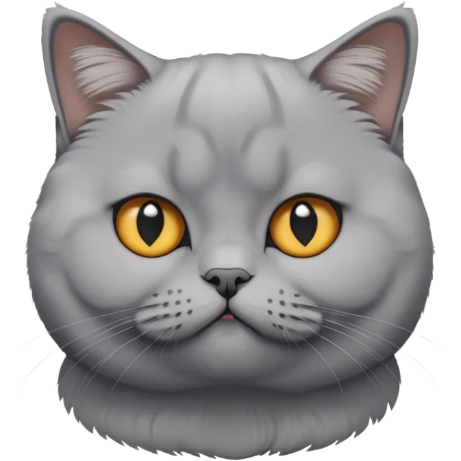 Brittish shorthair cat  emoji