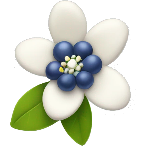 blueberry flower emoji