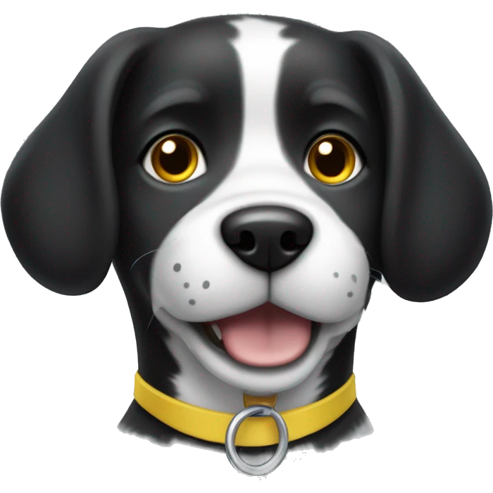 Black and white dog with one slightly floppy ear, and one year higher. She has a yellow collar with a round tag. Her mouth is closed. emoji