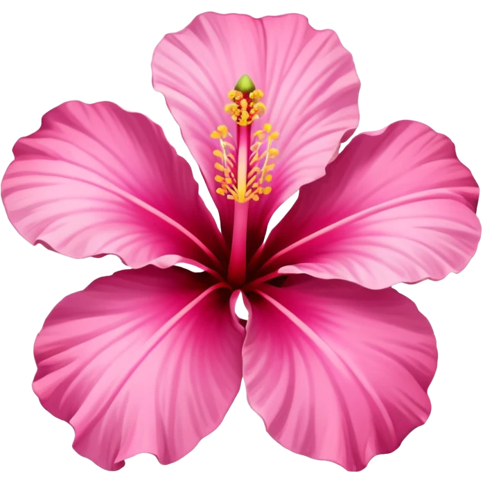 hibiscus flower pink emoji