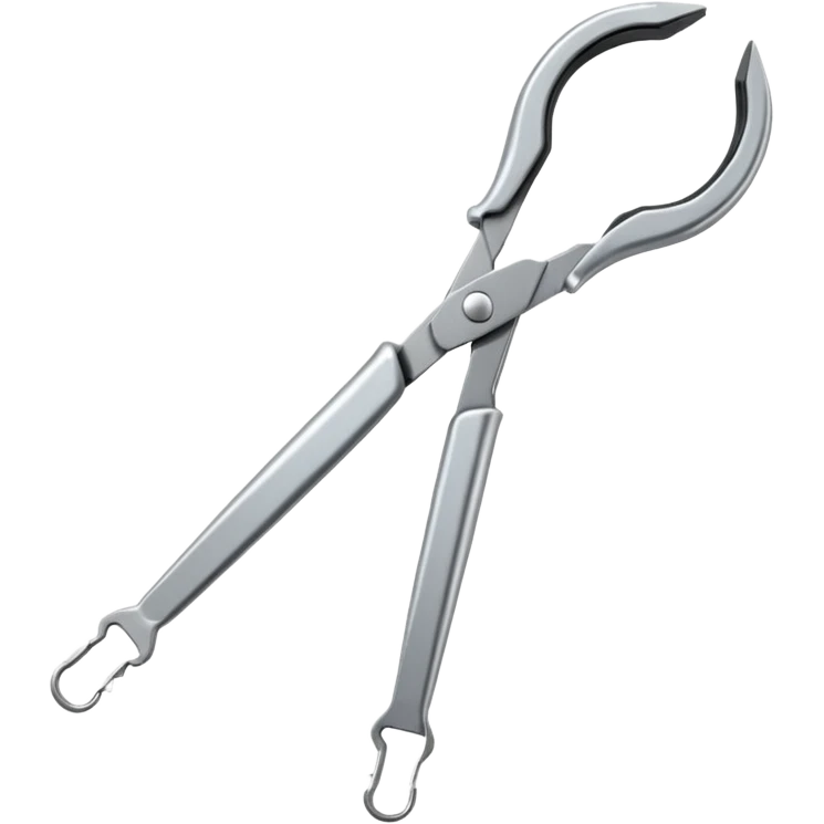 chain nose Pliers emoji