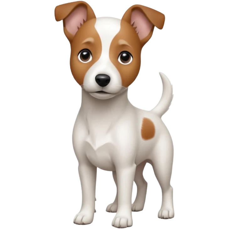 a fully white jack russell the size of a kelpie with floppy ears and a half white face emoji