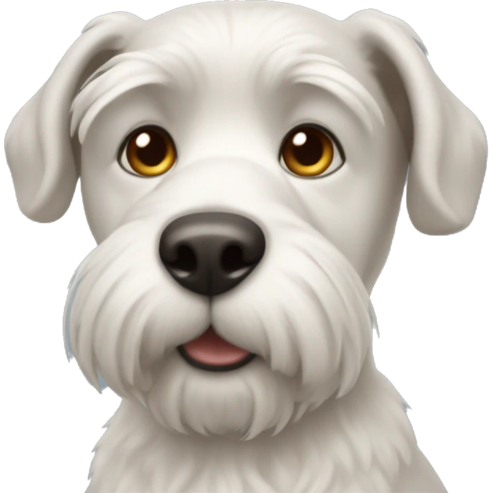 A Maltés dog  emoji