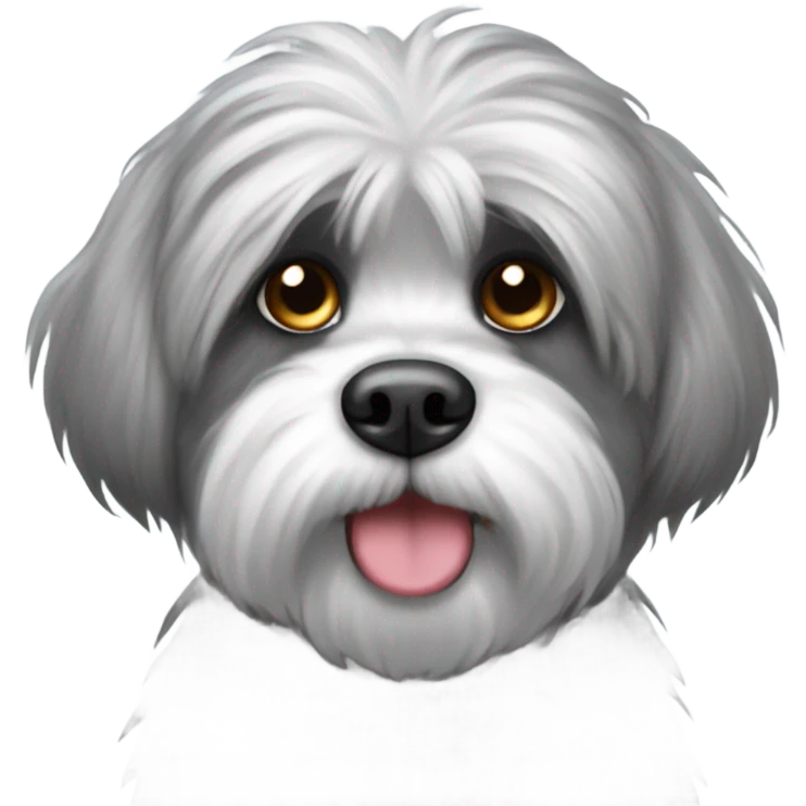 Grey fluffy shitzu  emoji