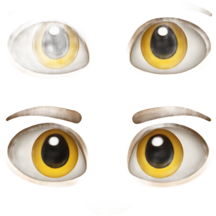 Eyes with eyes emoji