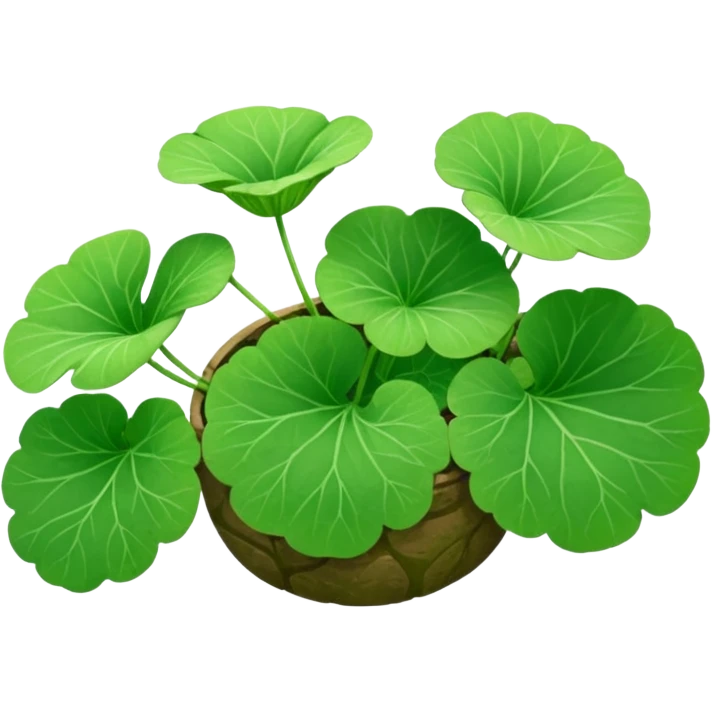 centella asiatica emoji