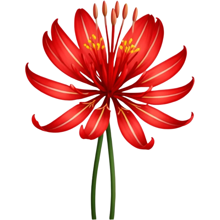 Uma flor de Lycoris radiata emoji