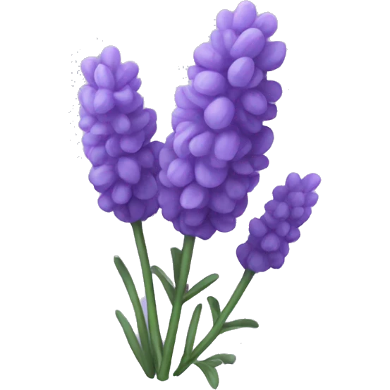 Lavender emoji