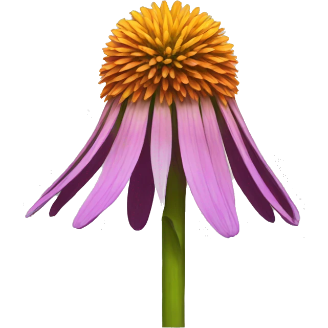 cone flower emoji