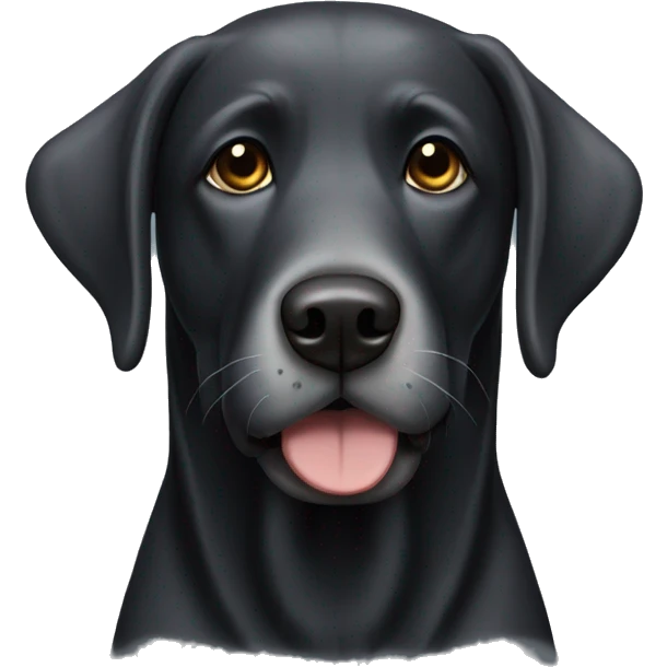 realistic black lab with a scruffy grey beard and eyebrows emoji